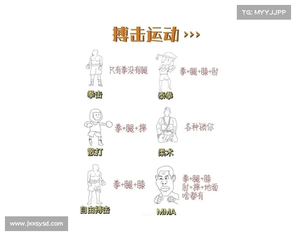 拳击比赛六大类型解析及精彩程度评估助你了解拳击魅力